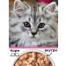 Four-legged Gourmet Kittens for kittens wet souffle of veal and rabbit 100 g 24 pcs - Buy Online on GoSupps.com