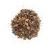 Althea LLC Herbal tea "Cedar cone oregano St. John's wort" - Buy Online on GoSupps.com