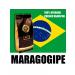 The Tsar's Courtyard Coffee in grains (100% arabica) "Brazil (Maragojip)" "500 grams - Buy Online on GoSupps.com