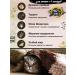 Fourlegged Gourmet Kittens feed moist Golden Line Tsyn. - Buy Online on GoSupps.com