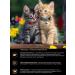 Fourlegged Gourmet Kittens feed moist Golden Line Tsyn. - Buy Online on GoSupps.com