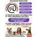 Fourlegged Gourmet Kittens feed moist Golden Line Tsyn. - Buy Online on GoSupps.com