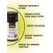 biolite Vostorolin with deijercetin bark of aspen of a thick 75 ml - Buy Online on GoSupps.com