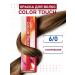 WELLA PROFESSIONALS Color Touch paint tinting 6 0