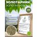 Native herbs Zolotarnik ordinary grass (gold rod)
