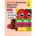Take a Bitey Fruit sugar bars Bityy raspberries 12 pcs