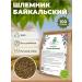 Native herbs Sholenik Baikal root of herbal tea