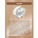 BIELENDA Face cream Firming Peptides pulling up from wrinkles 50+ - Buy Online on GoSupps.com