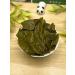 Healthy tea Green tea Zhen Lo (Green Spiral) Cat. B 50 g - Buy Online on GoSupps.com
