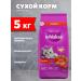 WHISKAS Dry mouthpiece dinner for cats of beef 5 kg