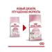 ROYAL CANIN Kitten dry food for kittens 4 kg - Buy Online on GoSupps.com