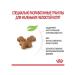ROYAL CANIN Kitten dry food for kittens 4 kg - Buy Online on GoSupps.com