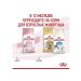 ROYAL CANIN Kitten dry food for kittens 4 kg - Buy Online on GoSupps.com