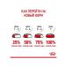 ROYAL CANIN Kitten dry food for kittens 4 kg - Buy Online on GoSupps.com