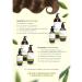 TNL PROFESSIONAL Set of shampoo and balm Salufantic with keratin 250+250 ml - Buy Online on GoSupps.com