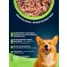 Petibon Dog feed is moist 100 g 24 pcs veal+turkey - Buy Online on GoSupps.com