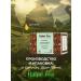 Halpe Tea Black tea "Chocolate with mint" in pyramids 20 pcs - Buy Online on GoSupps.com
