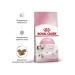 ROYAL CANIN Kitten Kanin Kanin Kitten -1.2 kg food - Buy Online on GoSupps.com