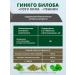 Bioterra Ginkgo biloba 100mg+gota cola+Thein 600mg No. 30 - Buy Online on GoSupps.com