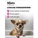 Spets Hypoallergenic dog shampoo for short wool 1l - Buy Online on GoSupps.com