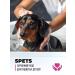 Spets Hypoallergenic dog shampoo for short wool 1l - Buy Online on GoSupps.com
