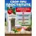 Danila Travnik Herbal tea for prostatitis healing adenoma