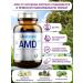 Avicenna Treatment for the liver of milk thistle artichoke silimarin 60 capsules - Buy Online on GoSupps.com