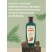 Nevskaya Cosmetics Shampoo with a gum 250ml (7pcs in a set) - Buy Online on GoSupps.com