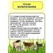 skhzh Multitonik 200ml 2pcs Vitamins for animals and birds - Buy Online on GoSupps.com