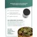 TAMGA taiga shop Mint taiga collection - Herbal tea 65 grams - Buy Online on GoSupps.com