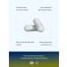 GLS pharmaceuticals Amla tablets amalaki extract 60 capsules - Buy Online on GoSupps.com