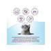 Best dinner Cat food for ICD chicken with a veal 12pc x 100g - Buy Online on GoSupps.com