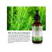 Lili Swan Rosemary oil for hair growth from falling out - Buy Online on GoSupps.com