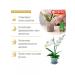 Bona Forte Liquid fertilizer beauty orchids 285ml - Buy Online on GoSupps.com