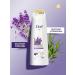 Dav Set of hair shampoo and hair balm with lavender - Buy Online on GoSupps.com