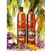 GuRu Kombucha Combuche "Classic" 2l (1l x 2pcs)