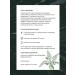 Herbalist Trotsenko Nikolay Nettle sheet - Buy Online on GoSupps.com