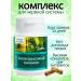 Phytotherapy Anti -stress complex of herbs