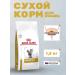 Royal Canin Urinary dry diet food for cats at an ICB 1.5 kg
