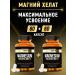 aTech nutrition Premium Magnesium Helat Magnesium Chelated 60 + 60 capsules