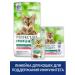 PERFECT FIT Dry food for Immunity cats beef flax blue 1.1kg - Buy Online on GoSupps.com
