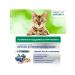 PERFECT FIT Dry food for Immunity cats beef flax blue 1.1kg - Buy Online on GoSupps.com