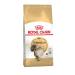 ROYAL CANIN Dry food for cats Siberian Adult 400 g - Buy Online on GoSupps.com