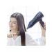 Panasonic Powerful hair hair dryer EH-NE83-K865 with ionization - Buy Online on GoSupps.com