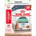 ROYAL CANIN Cat food for moist digestive Care in sauce 85 g 28 pcs