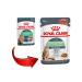 ROYAL CANIN Cat food for moist digestive Care in sauce 85 g 28 pcs - Buy Online on GoSupps.com
