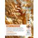 Yves Rocher Hand cream moisturizing oats and buckwheat - Buy Online on GoSupps.com