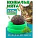TVShkSV Croat of Lizun with cat mint
