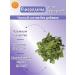 Yasaltaya Currant leaf dried 30 g - Buy Online on GoSupps.com