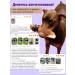 Canezeta Beef ears for dogs - Buy Online on GoSupps.com